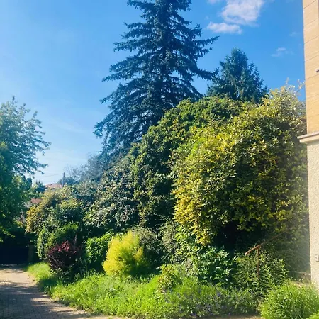 La Petite Noix Sarlat